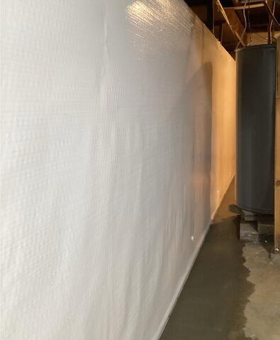 CleanSpace