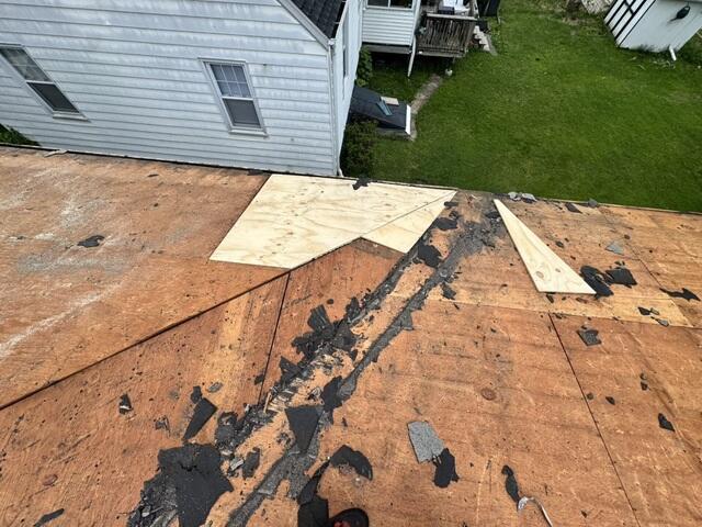 Installing New CDX Plywood
