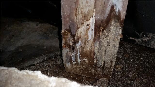 Rotten Subfloor Post