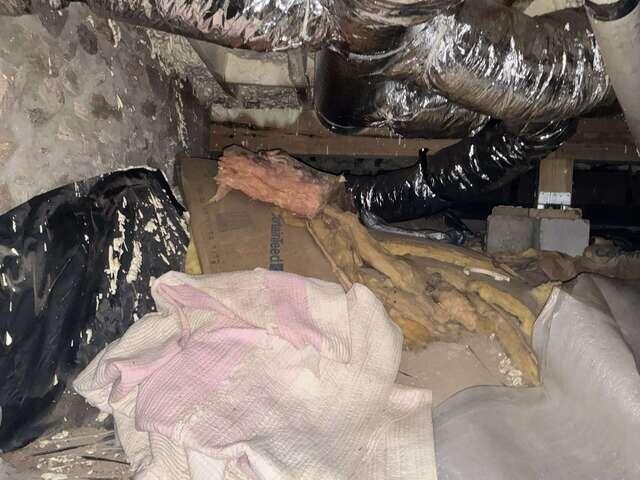 Crawl Space - Exposed Soil and Insulation