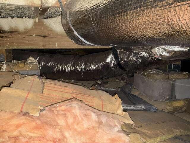 Crawl Space - Existing Conditions