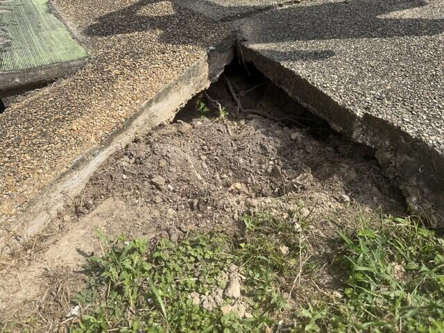 Before
