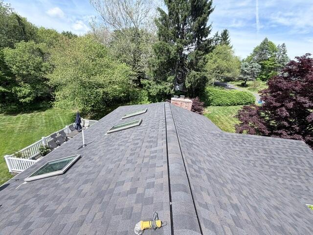 Completed Roof Details and Ridge Ventilation