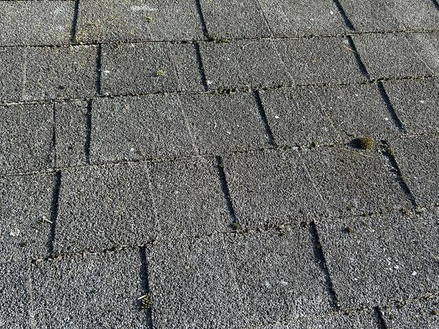 Worn Three-Tab Shingles with Moss Growth