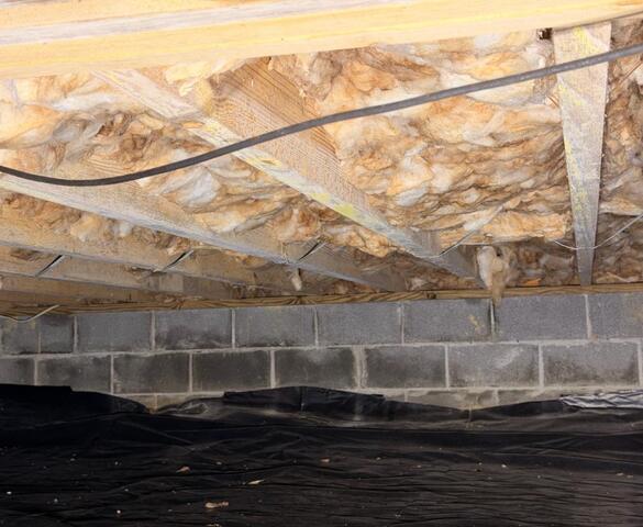 Efflorescence - a sign of water intrusion
