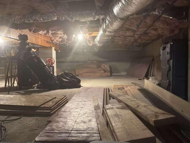 Crawl Space - Before