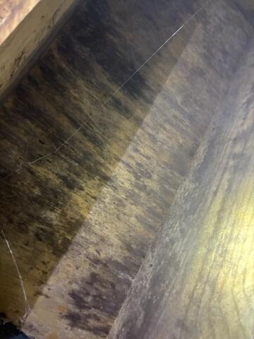 Mold On Subfloor