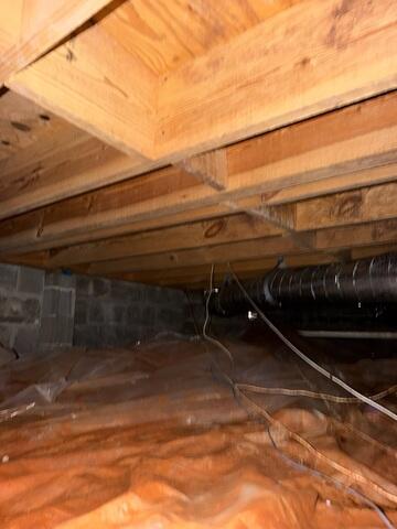 Mold Remediation