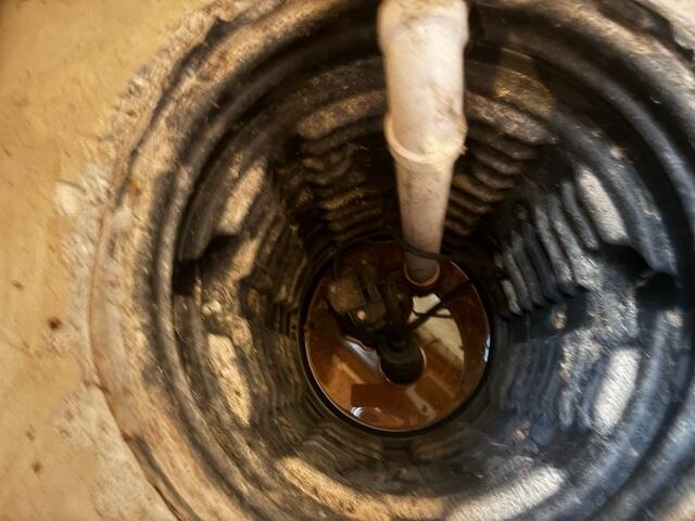 Original Sump Pump
