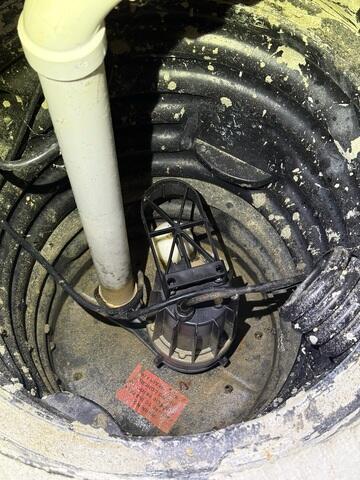 Original Sump Pump