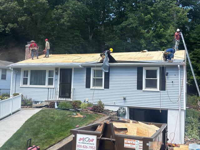 New CDX Plywood Decking Installed