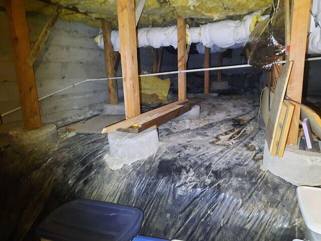 Bare Footings, Damaged Barrier