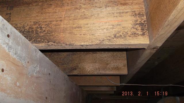 Moldy Crawlspace in Kerric, MN Needs Crawl Space Insulation