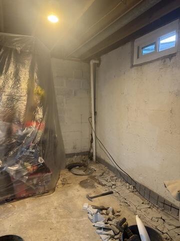 Basement Before