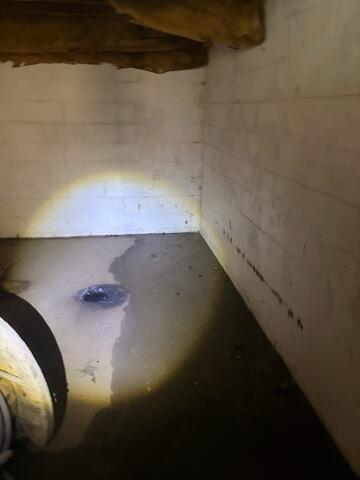Basement During Inspection