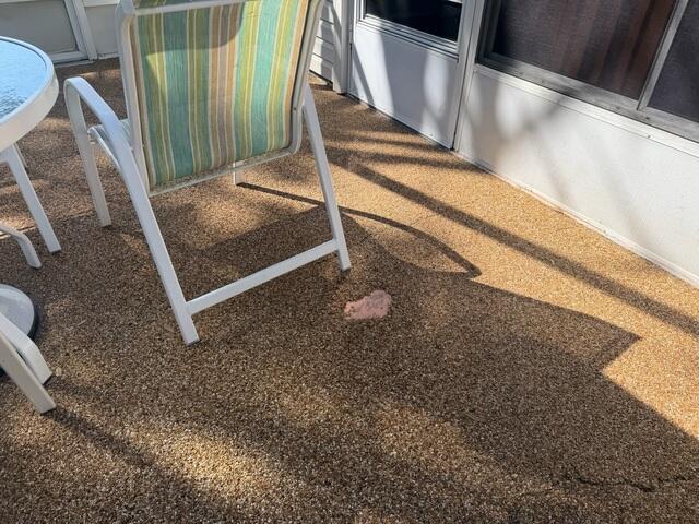Concrete Patio Surface Damage