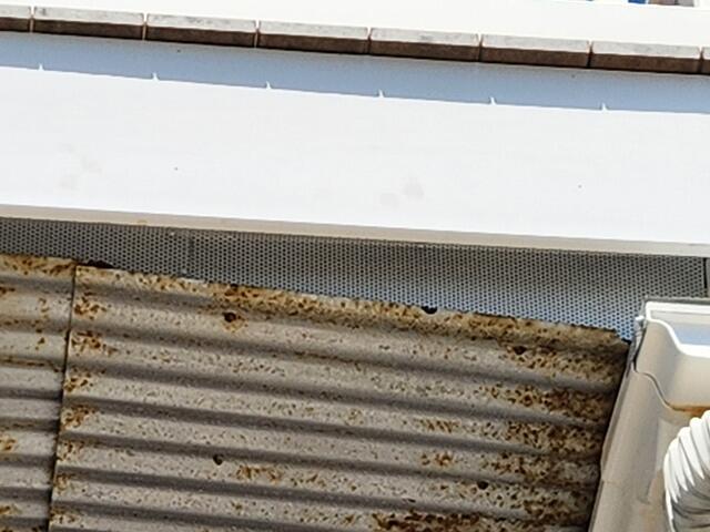 Pest-Blok to the Rescue
