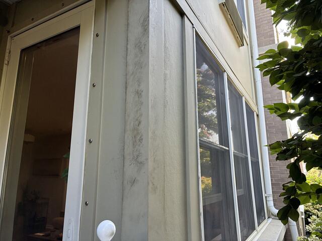 Evidence of the Raccoon