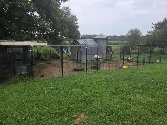 Goat Enclosure