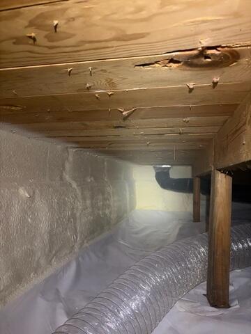 Spray Foam