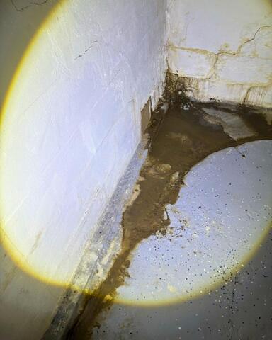 Basement Puddles