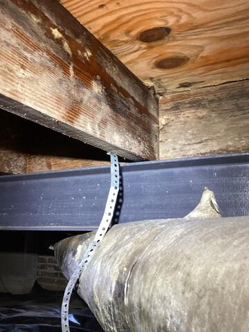 What to Do About Mold Growth