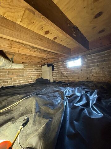 Ways to Treat Mold