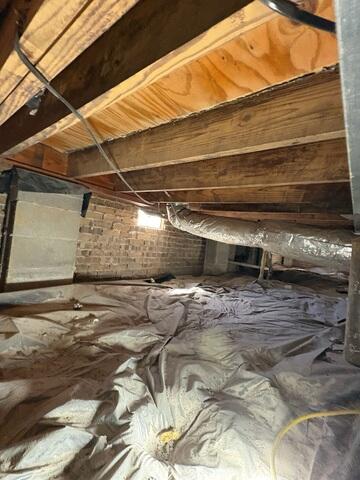 Mold Eliminated