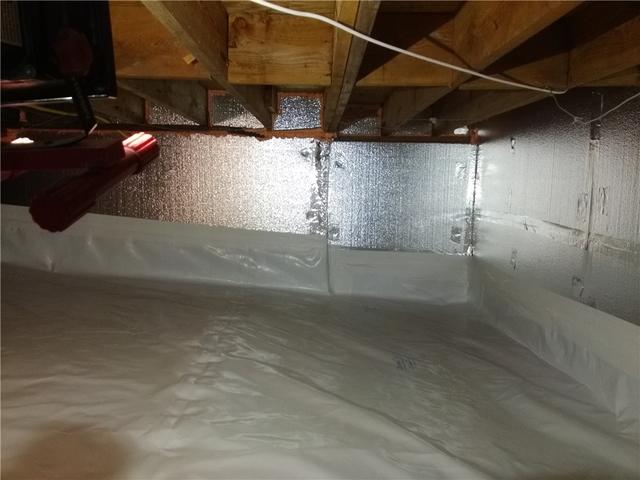 Graphite Insulation