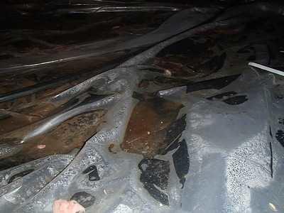 Water under the Cheap Liner