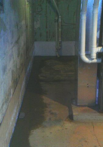 CleanSpace & WaterGuard