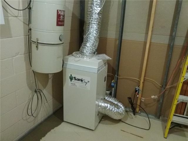 Basement Dehumidifier