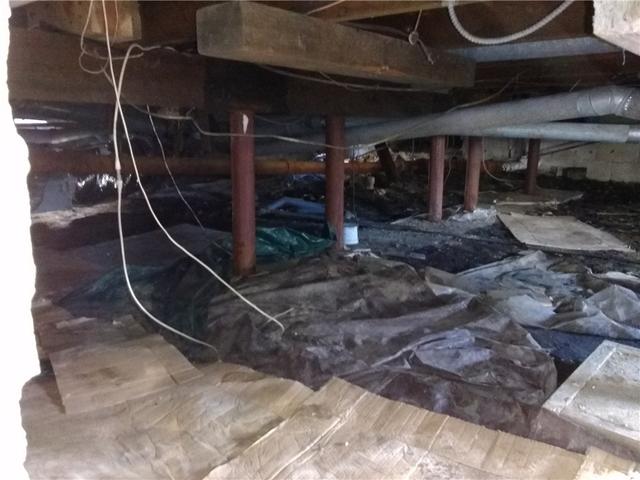 Damp Crawl Space in Spring Lake