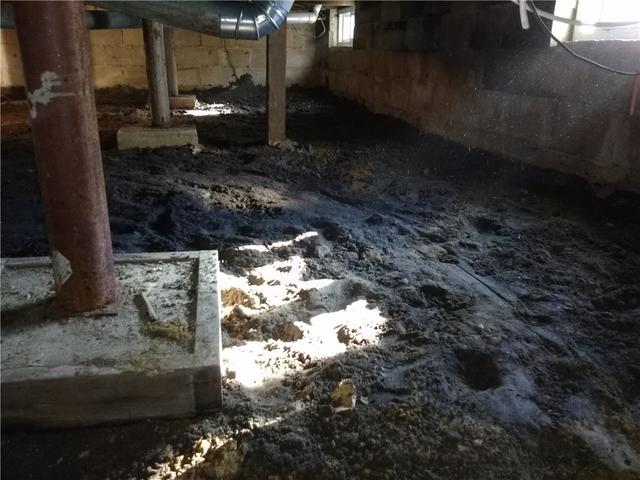 Humid Dirt Crawl Space in Spring Lake