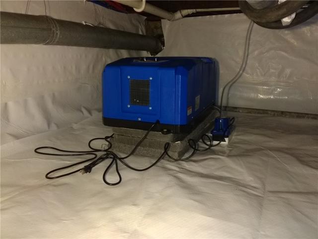Mold Preventing Dehumidifier