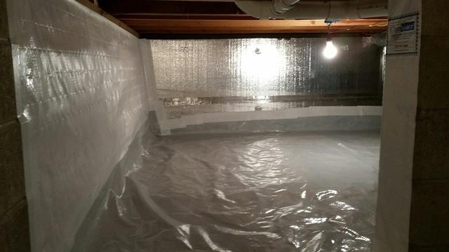 CleanSPace