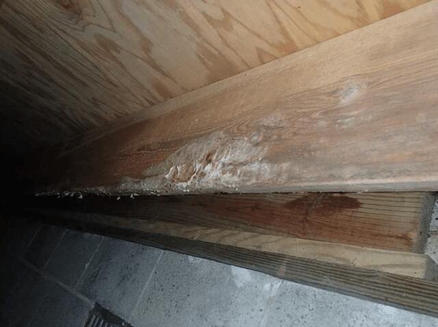 When moisture enters the crawl space over time the mold spores will start to break down the wood in the crawl space. 