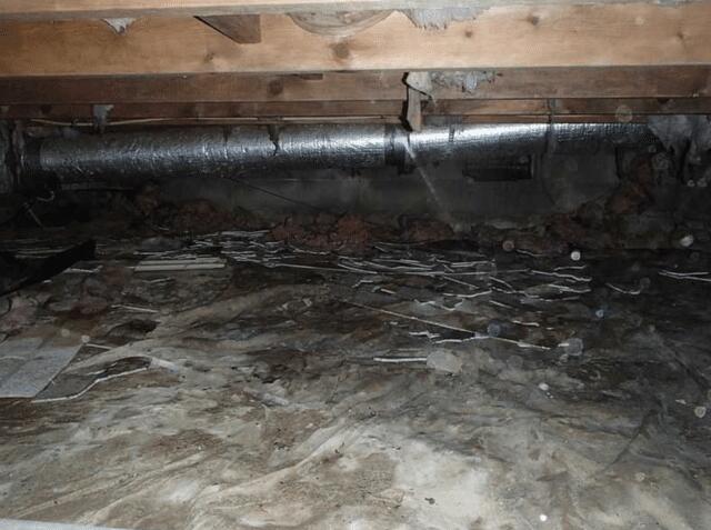 This crawl space needed a facelift. 