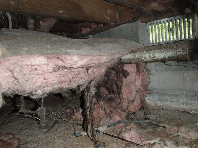 Over time the insulation will trap moisture and become to heavy and fall. This could be why you have cold floors in you crawl space. 