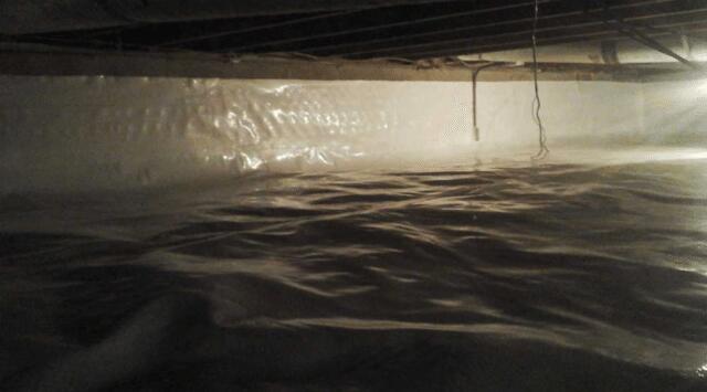 This crawl space went from scary to beautiful!