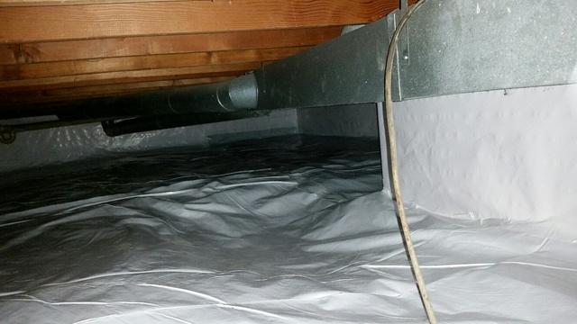 Mold Resistant Crawl Space