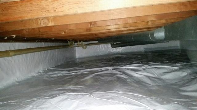 Bright Crawl Space