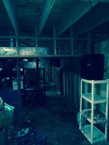 Dark Dingy Basement