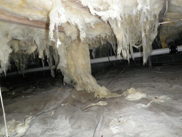 Wet Ocean City, MD Crawlspace Ruins Batted Insulation