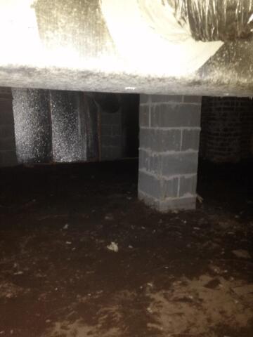 Damp and Musty dirt floor in the crawlspace