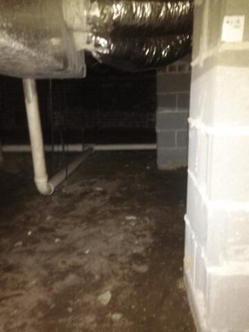 Damp and Musty dirt floor in the crawlspace