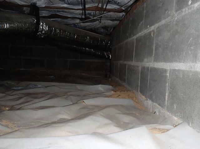 The Crawl Space