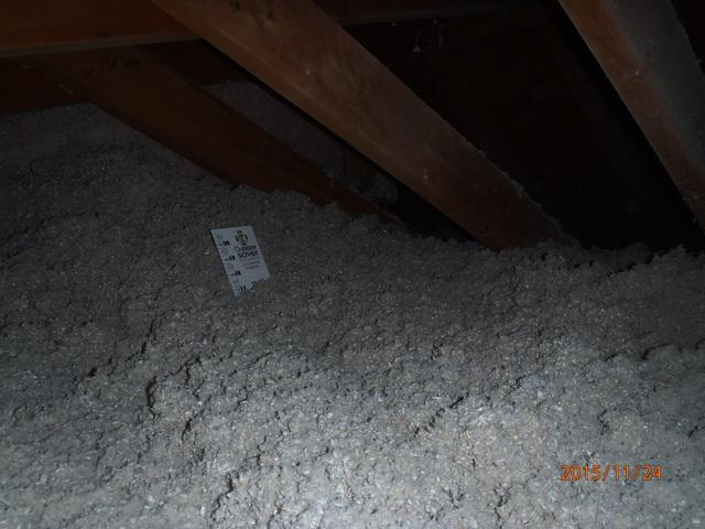 TruSoft Cellulose Insulation