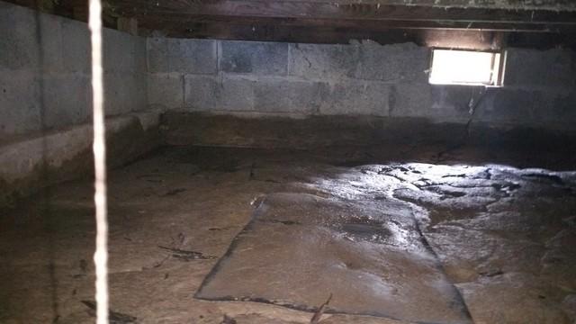 Humid Crawl Space