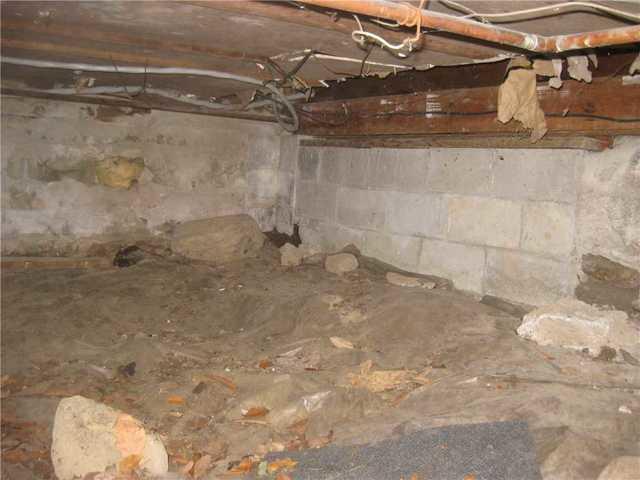 Dirty, Moldy Crawl Space